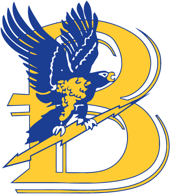 Bentley Falcons 1988-2012 Primary Logo diy DTF decal sticker